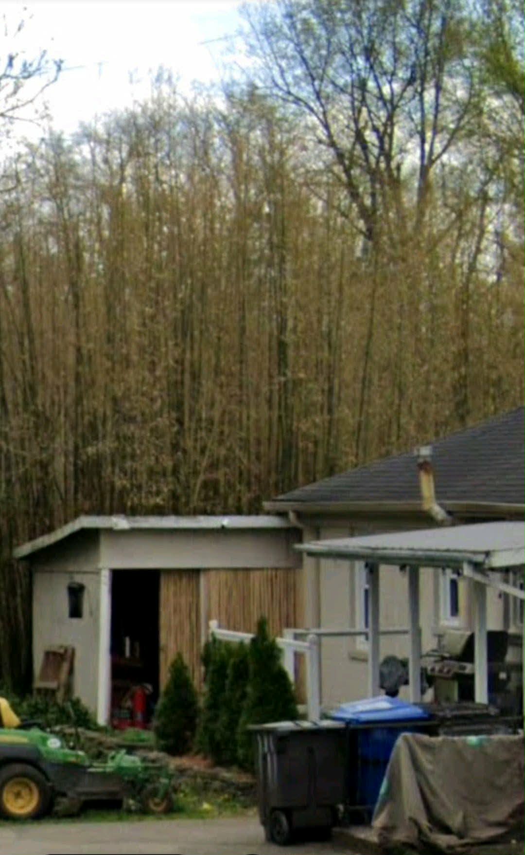 Outbuilding and shed construction